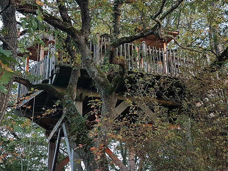 Cabane gorgone