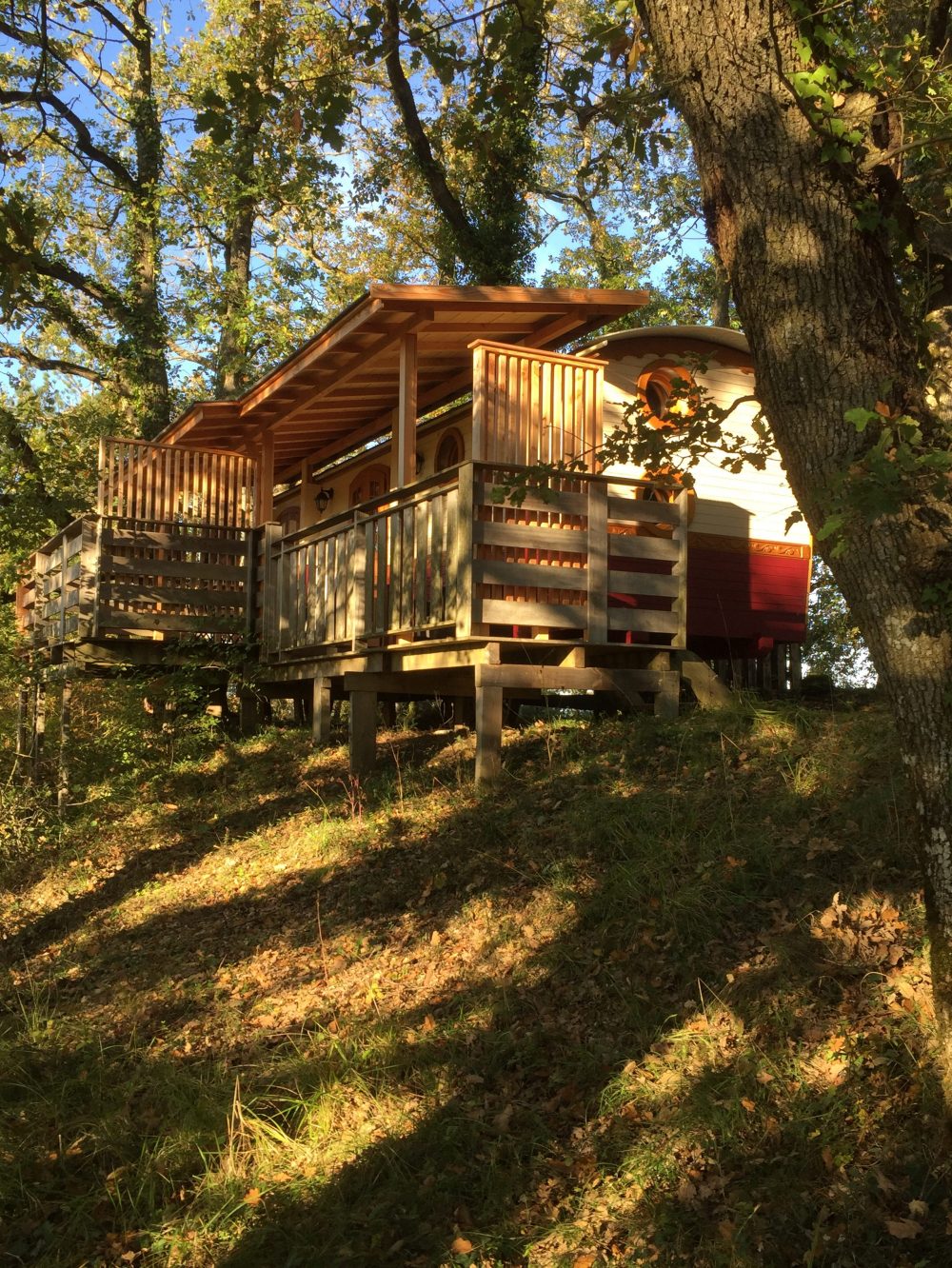 Cabane dans les arbres à Toulouse